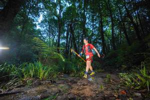 BIB: 
                            <button type="button" onclick="openModal(19242017)" class="btn btn-primary btn-sm float-right btn-popup" data-toggle="modal" data-target=".modal-high-quality">
                        <i class="fas fa-shopping-cart"></i> Add to Cart
                    </button>
                                            <button type="button" onclick="isThisMe(19242017, true)" class="btn btn-success btn-sm float-right btn-popup btn-isme hidden" data-toggle="tooltip" data-placement="bottom" title="นี่คือรูปของคุณใช่ไหม คลิกที่นี่เพื่อเอาเข้าอัลบั้ม">
                        <i class="fas fa-plus"></i> Add to album
                    </button>
                    <button type="button" onclick="isThisMe(19242017, false)" class="btn btn-warning btn-sm float-right btn-popup btn-isnotme hidden">
                        <i class="fas fa-ban"></i> Remove from album
                    </button>